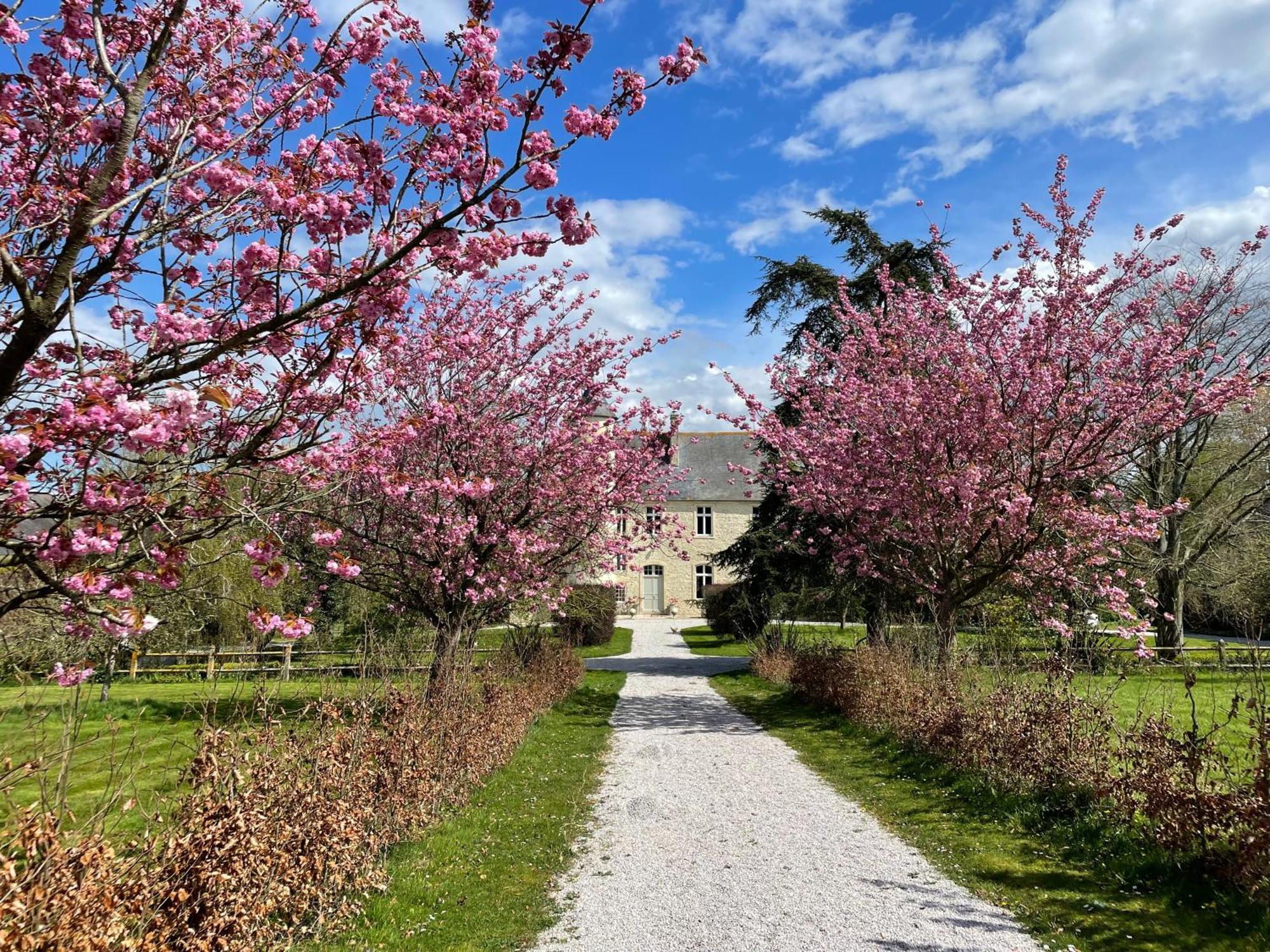 Chateau De Monfréville 外观 照片