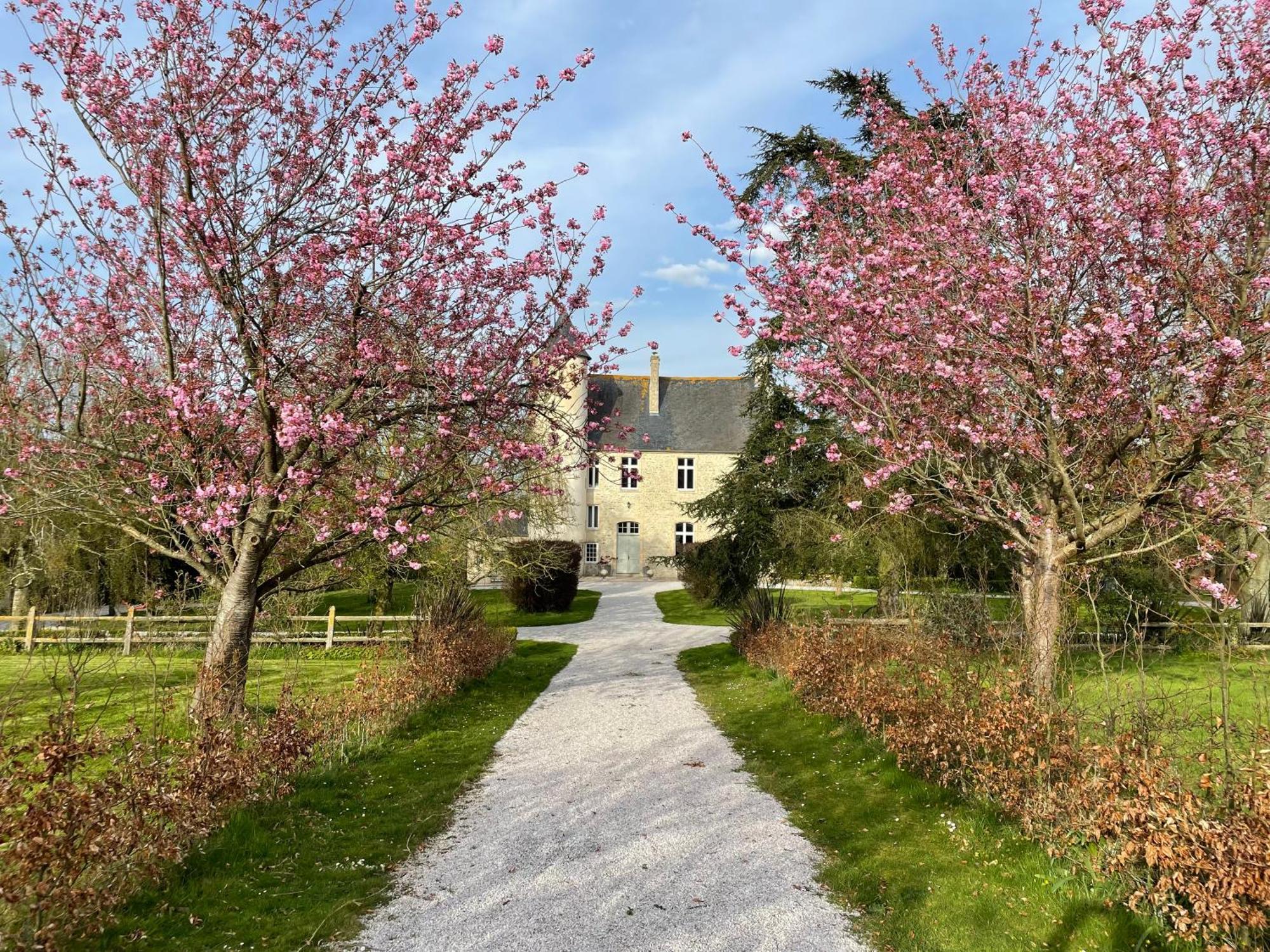 Chateau De Monfréville 外观 照片